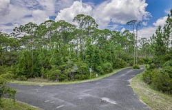 Wilderness Way lot: 42, Panacea, FL 32346