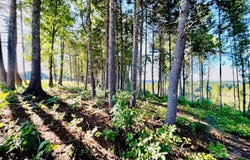 2.07 acres, 2058 Thoroughbred Way unit: G16, Lenoir, NC 28645