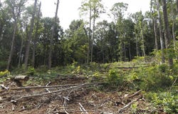 Tbd Danville Pike, Laurel Fork, VA 24352