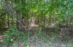 2206 S Highway 1 S, Elgin, SC 29045