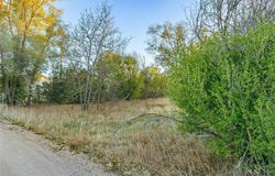 19861 Barnes Cir, CO 80751