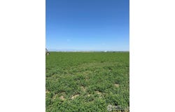 4 CR 19 & CR 26, Fort Lupton, CO 80621