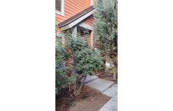 1930 COPPER RANCH Lane, Hailey, ID 83333