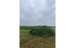 16.03 Acres Dennis Court, Prairie du Sac, WI 53578