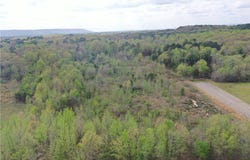 Arrow Drive, Morrilton, AR 72110