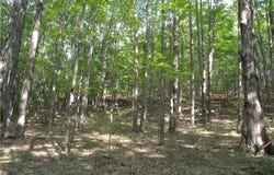 1454 Crane Lane, Woodhull, NY 14801