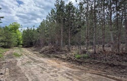 80 Acres Off Little Harbor, Manistique, MI 49854