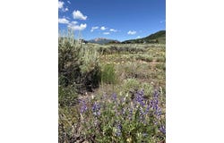 509 N Avion Drive, Crested Butte, CO 81224