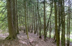 White Road, Parish, NY 13131
