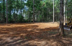 3.34+/- (Lot 3 A) E Dogwood Trail, Coffee Springs, AL 36318