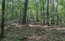 0 Lotta River Road, Sipsey, AL 35584
