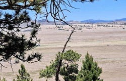 550 WOROKA TRAIL, Hartsel, CO 80449