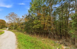 335 Wallace Drive, Rockaway Beach, MO 65740