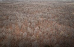 1608 Highway 64, Tunas, MO 65764