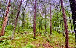 0 North Point Drive, Minong, WI 54859
