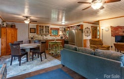 1563 Green River Cove Road, Saluda, NC 28773
