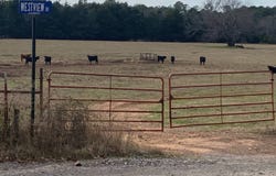 TBD Winds Road, Ozark, AR 72949