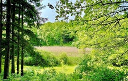 6684 Farview Road, Brecksville, OH 44141