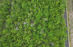 Tbd Walling Rd, Jay, FL 32565