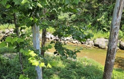 7832 Cozy Cove Road, Branson, MO 65616