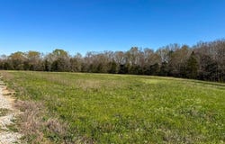 0 Hwy 80 E, Gallion, AL 36742