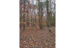 50026 Hadley Dr, MS 39730