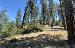 1363 ARTHUR CT, KETTLE FALLS, WA 99141