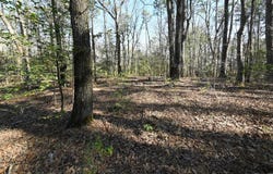 TBD Silver Point Drive, Mount Ida, AR 71957