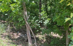 Stoneykirk Dr lot: 25, Bella Vista, AR 72715