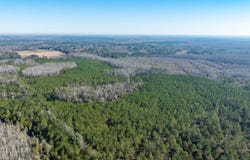 0 James Noble Road, Greenville, FL 32331