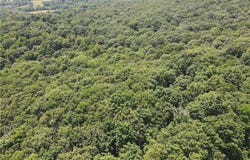 000 Hale Mountain  RD, Canehill, AR 72717