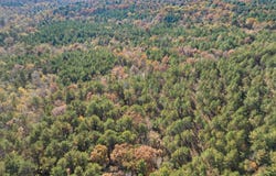 Sims Road, De Queen, AR 71832
