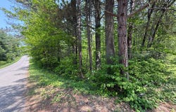 Lot 5 WYANDOCK DR, Minocqua, WI 54548