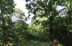Tbd N 4309 Lane, Tuskahoma, OK 74574