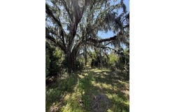 17918 NE US HIGHWAY 301, WALDO, FL 32694