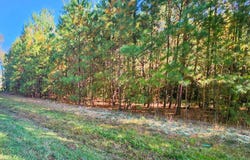 Tract 1a Abattoir Road, Coats, NC 27521