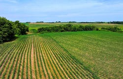 TBD 265th Ave, Lake City, MN 55041
