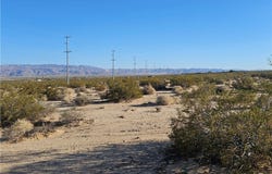 123 Desert Flower Ave, 29 Palms, CA 92277