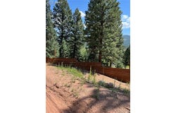 193 Summer Haven Drive, Woodland Park, CO 80863