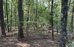 CR 424, OXFORD, MS 38655