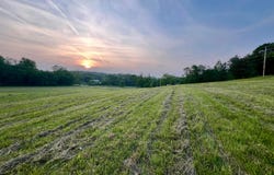 21421 Griffith Road, Logan, OH 43138