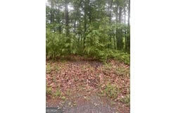 586 Galaxy, Ranger, GA 30734