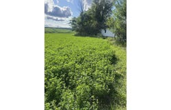 Rush Creek, STOCKTON, IL 61085