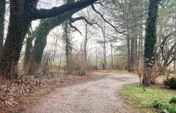 404 Evans Road, Ash Flat, AR 72513