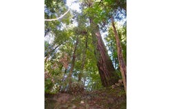 00 Slate Creek Road, La Honda, CA 94020