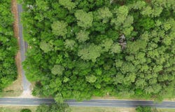 0 Lot 6 Holiness Church Road, Wagener, SC 29164