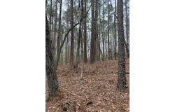 00 Bloomfield Road, Preston, MS 39354