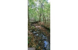 52 Grizzley, Ranger, GA 30734