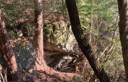 Tract 2 Lone Wolf Trail lot: 2, Spencer, TN 38585