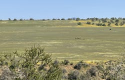 2170 Aliso Park Rd, NEW CUYAMA, CA 93254